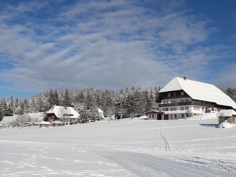 Schönwalde Haus Lucia, Mit Pool Und Sauna, Appartment 4 מראה חיצוני תמונה